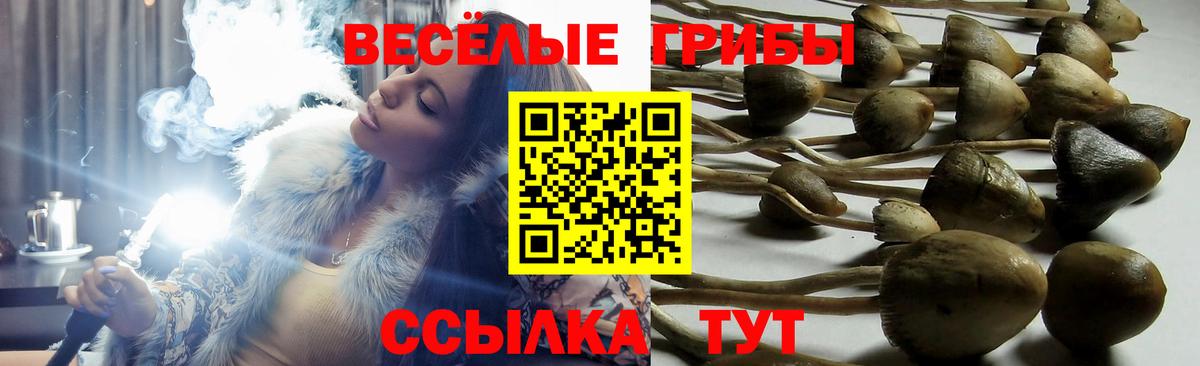 Галлюциногенные грибы прущие грибы  Галлюциногенные грибы Psilocybine cubensis  Бахчисарай  Вход с VPN 